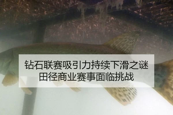 zuan-shi-lian-sai-xi-yin-li-chi-xu-xia-hua-zhi-mi-tian-jing-shang-ye-sai-shi-mian-lin-tiao-zhan-2-815.jpg